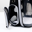 Рюкзак для переноски животных "Котик", прозрачный, 34 х 25 х 40 см, чёрный - фото 6489078
