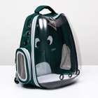 Рюкзак для переноски животных "Котик", прозрачный, 34 х 25 х 40 см, зелёный - фото 6489086