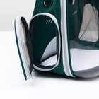 Рюкзак для переноски животных "Котик", прозрачный, 34 х 25 х 40 см, зелёный - фото 6489089