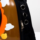 Рюкзак для переноски кошек и собак «Лев», с окном, 32×25×42 см, коричневый - Фото 5