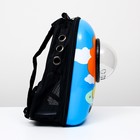 Рюкзак для переноски животных "Лев", с окном для обзора, 32 х 25 х 42 см, голубой - Фото 3