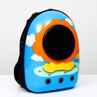 Рюкзак для переноски животных "Лев", с окном для обзора, 32 х 25 х 42 см, голубой - Фото 8