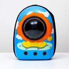 Рюкзак для переноски кошек и собак «Лев», с окном, 32×25×42 см, голубой - Фото 11