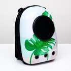 Рюкзак для переноски кошек и собак «Лист», 32×25×42 см, с окном - Фото 8