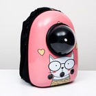 Рюкзак для переноски животных "Кот учёный", с окном для обзора, 32 х 25 х 42 см, розовый - фото 318686479
