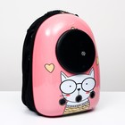 Рюкзак для переноски животных "Кот учёный", с окном для обзора, 32 х 25 х 42 см, розовый - фото 6489151