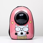Рюкзак для переноски животных "Кот учёный", с окном для обзора, 32 х 25 х 42 см, розовый - фото 6489153