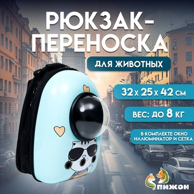 Рюкзак для переноски кошек «Гламуррр», с окном для обзора, 32×25×42 см, голубой