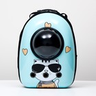 Рюкзак для переноски животных "Гламуррр", с окном для обзора, 32 х 25 х 42 см, голубой - фото 8629903