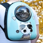 Рюкзак для переноски кошек «Гламуррр», с окном для обзора, 32×25×42 см, голубой - Фото 3