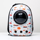 Рюкзак для переноски животных с окном для обзора "Хочу на море!", 32 х 25 х 42 см - фото 9677247