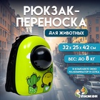 Рюкзак для переноски кошек и собак "Кактус", с окном, 32 х 25 х 42 см - Фото 1