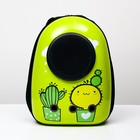 Рюкзак для переноски кошек и собак "Кактус", с окном, 32 х 25 х 42 см - Фото 7