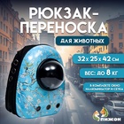 Разрисованный