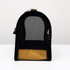 Сумка - переноска для животных «Улыбка», коричневая, размер L, 53×21×29 см, коричневая - фото 57951384