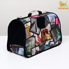 Сумка - переноска для животных «Путешественник», размер M, 40×21×27 см - Фото 4