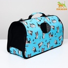 Сумка-переноска каркасная «Играющие котики», размер L, 53×21×29 см, голубая - Фото 4