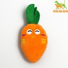 Мягкая игрушка для собак «Морковка», 18 см, с пищалкой, оранжевая - Фото 1
