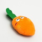 Мягкая игрушка для собак «Морковка», 18 см, с пищалкой, оранжевая - Фото 2