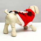 Куртка для собак на кнопочках с меховой отделкойSanta, XS (ДС 33, ОШ 30, ОГ 40 см) - Фото 3