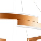 Люстра 1511/2 LED 65Вт 3000-6000К золото 60х60х106 см BayerLux - Фото 7