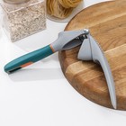 Пресс для чеснока Magistro Coral, 20.2×4.2×6.5 см, зелёный, серый - Фото 3