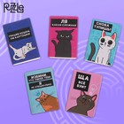 Головоломка металлическая «Мурчать – не головоломку решать», МИКС, в шоубоксе - Фото 2