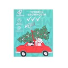 Адвент - календарь новогодний с металлическими головоломками «Котики», 5 шт. - Фото 4