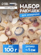 Набор ракушек Rose petal tellin, 100 г - Фото 1