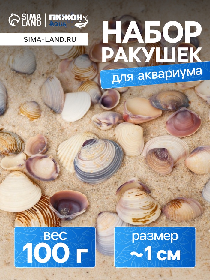 Набор ракушек Rose petal tellin, 100 г - Фото 1