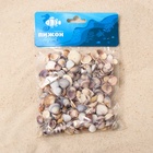 Набор ракушек Rose petal tellin, 100 г - Фото 6