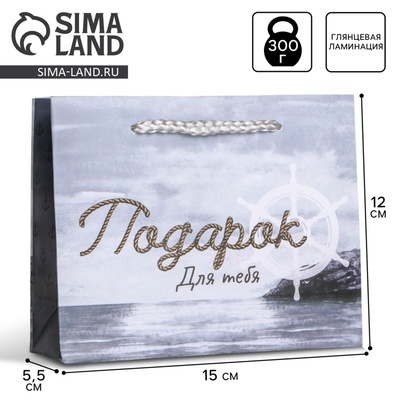 Пакет подарочный ламинированный, упаковка, Present for you, S 15×12×5.5 см