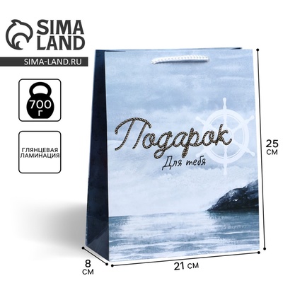 Пакет подарочный ламинированный, упаковка, Present for you, ML 21×25×8 см