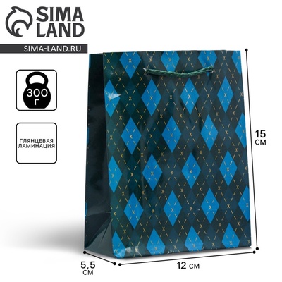 Пакет подарочный ламинированный, упаковка, «Клетка», S 12 х 15 х 5.5 см