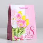 Пакет подарочный ламинированный вертикальный, упаковка, «С праздником весны», S 12 х 15 х 5,5 см - Фото 1