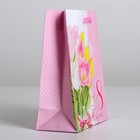 Пакет подарочный ламинированный вертикальный, упаковка, «С праздником весны», S 12 х 15 х 5,5 см - Фото 2