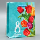Пакет подарочный ламинированный вертикальный, упаковка, «Тюльпаны», S 12 х 15 х 5,5 см - Фото 3