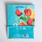 Пакет подарочный ламинированный вертикальный, упаковка, «Тюльпаны», S 12 х 15 х 5,5 см - Фото 5