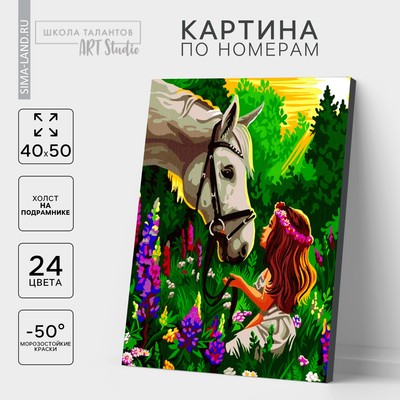 Картина по номерам на холсте с подрамником «Лошадка и девочка в поле», 40 х 50 см
