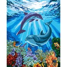 Картина по номерам на холсте с подрамником «Дельфины-друзья», 40 х 50 см - Фото 2