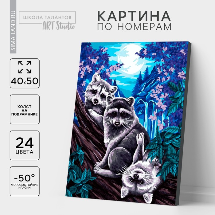 

Картина по номерам на холсте с подрамником «Еноты под луной», 40 х 50 см