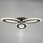 Люстра с ПДУ 1095/3BK LED 114Вт диммер черный 50х50х8 см BayerLux - фото 39294190