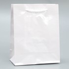 Пакет подарочный ламинированный, упаковка, «Белый», S 12 х 15 х 5,5 см - Фото 1