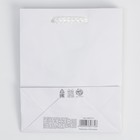 Пакет подарочный ламинированный, упаковка, «Белый», S 12 х 15 х 5,5 см - Фото 5