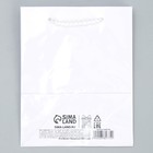 Пакет подарочный ламинированный, упаковка, «Белый», S 12 х 15 х 5,5 см - Фото 6