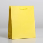 Пакет подарочный ламинированный, упаковка, «Жёлтый», S 12 х 15 х 5,5 см - Фото 1