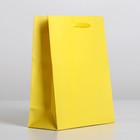Пакет подарочный ламинированный, упаковка, «Жёлтый», S 12 х 15 х 5,5 см - Фото 2