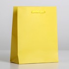 Пакет подарочный ламинированный, упаковка, «Жёлтый», S 12 х 15 х 5,5 см - Фото 4