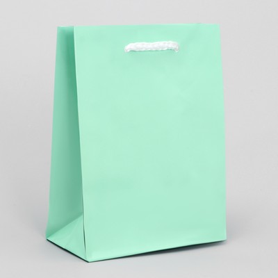 Пакет подарочный ламинированный, упаковка, «Зелёный», S 12 х 15 х 5,5 см