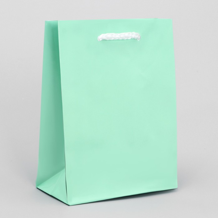 Пакет подарочный ламинированный, упаковка, «Зелёный», S 12 х 15 х 5,5 см - Фото 1
